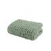 Gracie Oaks Darim Chenille Chunky Knit Throw Polyester in Green | Wayfair E29B996DF2A44D2E9C754EE162007482