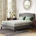 Queen 10" Foam Mattress - Alwyn Home 10 Mattress, Steel | 80 H x 60 W D in Wayfair 2764C8758B7A4CAB9F65996066CF8F89