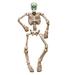 The Holiday Aisle® Color-Changing Skeleton w/ Moving Eyes Hanging Decoration Plastic | 64 H x 21 W x 4 D in | Wayfair