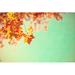 Ebern Designs Gold Autumn Leafs On Canvas by Andreka Photograph Canvas in White | 24 H x 36 W x 1.25 D in | Wayfair
