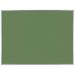 AARCO Vinyl Impregnated Cork Bulletin Board in Green/White | 36" H x 48" W | Wayfair OW3648213