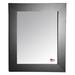 Rayne Mirrors Ava Black Tie Wall Mirror Wood in Brown | 25.5" H x 21.5" W x 0.75" D | Wayfair V0035S