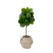 3.5' Artificial Fiddle Leaf Fig Tree with Handmade Cotton Basket with Tassels DIY KIT
