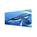 Whale Design Mouse Pad Mouse Mat Large Desk Mat with Non-Slip Rubber Water-Resistant surface for Home Office Gaming Workï¼ŒRectangle (60*30*0.2CM)-B