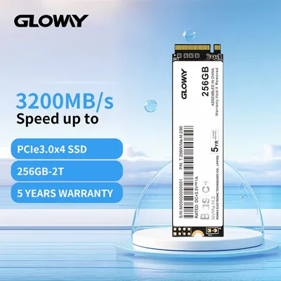 Gloway-Disque dur interne SSD M.2 NVMe PCIe 3.0 256 Go 512 Go 1 To 2 To m2 2280 pour