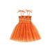 Sunisery Kids Girls Slip Dress Tie-up Sleeveless Pumpkin Print Tulle Dress Summer A-line Dress Halloween Costume