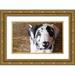 White Leesa 32x21 Gold Ornate Wood Framed with Double Matting Museum Art Print Titled - Grace II