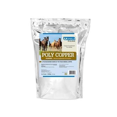 Poly Copper Powder