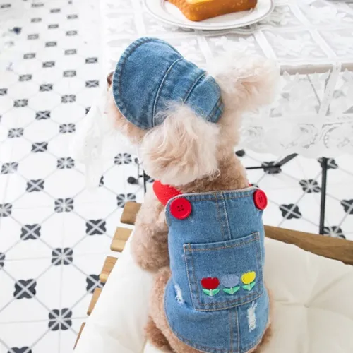 Mode bestickte Denim Hunde Rock Plüsch Haustier Kleidung Katze und Hund Kleidung Teddybär Mantel Hut
