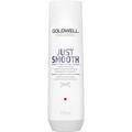 Goldwell Dualsenses Just Smooth Taming Shampoo