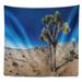 East Urban Home Landscape Joshua Tree in Open Desert Tapestry Polyester in Blue/Gray | 78 H x 92 W in | Wayfair C90C4EB001FC446C949BA758BE4EF2F5
