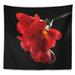 East Urban Home Freesia Flower on Black Background Tapestry Polyester in Black/Red | 68 H x 80 W in | Wayfair CB1A73B9A16A4E2787F066AEB9FDA0B0