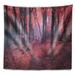 East Urban Home Polyester Landscape Photography Mysterious Fairytale Wood Tapestry w/ Hanging Accessories Included Polyester in Indigo | Wayfair
