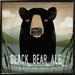 Loon Peak® Skinny Dip Black Bear Ale By Ryan Fowler, Framed Wall Art Paper, Glass in Black/Green | 36" H x 36" W x 1.5" D | Wayfair