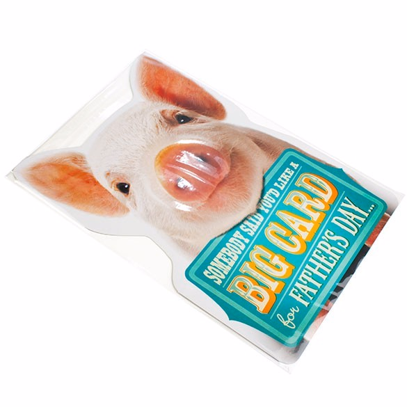 Crystal Clear Bags® with Flap 13 7/16" x 19 1/4" 100 pack