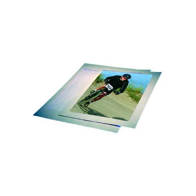 Full View Envelopes 10" x 13" with 7 7/8" x 9 3/4" Window 50 pack