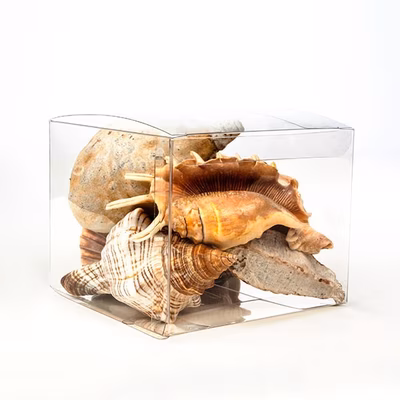 Crystal Clear Value Boxes 5
