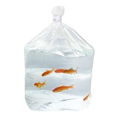 Large HD Tropical Fish Flat Bottom Waterproof Bags for Shipping Fish in Polystyrene Boxes Size 15 1/2