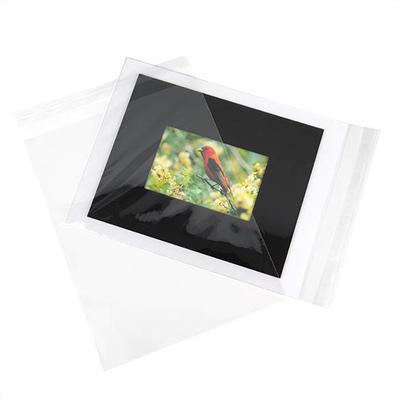 Value Crystal Clear Bags® 9 7/16" x 12 1/4" 250 pack