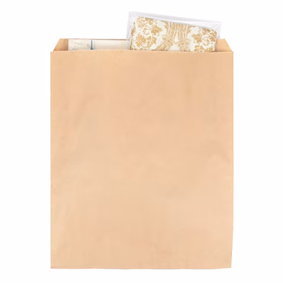Kraft Merchandise Bags 9 7/8