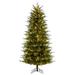 Vickerman 727300 - 5.5' x 38" Artificial Slim Georgian Fraser 800 3mm Warm White LED Lights Pre-Lit Christmas Tree (K230556LED)