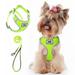 AIR Dog Harness Leash Set Puppy Leash Harness No-Choke Dog Harness Mesh Dog Harness Comfortable Dog Harness Plus 4 ft Reflective Dog Leash with Padded Handle Medium Yellow