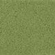 VORWERK Teppichboden "Veloursteppich Passion 1021 (Bingo)" Teppiche Gr. B/L: 500 cm x 350 cm, 6,6 mm, 1 St., grün (hell, grün) Teppichboden