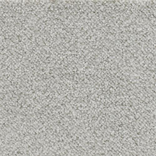 „BODENMEISTER Teppichboden „“Veloursteppich Juno““ Teppiche Wohnzimmer, Schlafzimmer, Kinderzimmer, Breite 400500 cm Gr. B/L: 500 cm x 200 cm, 8,5 mm, 1 St., grau (hell, grau) Teppichboden“