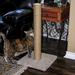 Classy Kitty KD Jute Cat Post, 16" H X 16" W X 31" H Wood/Rope/Cardboard in Brown | 31 H x 8.5 W x 8.5 D in | Wayfair NA48925