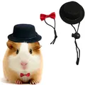 2Pcs/Set Guinea Pig Hat and Bowtie Hamster Costume Outfit Rats Chinchilla Cap Hedgehog Hat Small Pet
