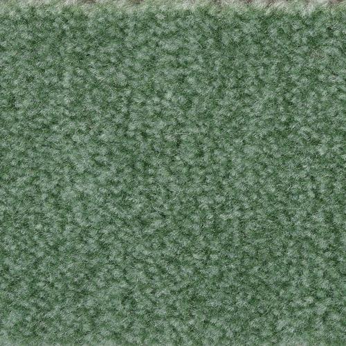 „BODENMEISTER Teppichboden „“Veloursteppich Jupiter““ Teppiche Wohnzimmer, Schlafzimmer, Kinderzimmer, Breite 400500 cm Gr. B/L: 500 cm x 550 cm, 7,5 mm, 1 St., grün Teppichboden“