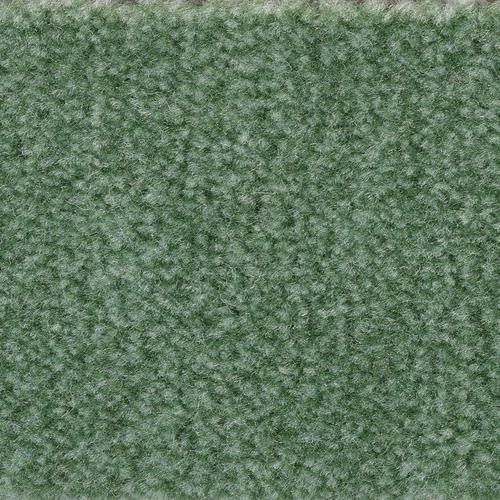 „BODENMEISTER Teppichboden „“Veloursteppich Jupiter““ Teppiche Wohnzimmer, Schlafzimmer, Kinderzimmer, Breite 400500 cm Gr. B/L: 400 cm x 200 cm, 7,5 mm, 1 St., grün Teppichboden“