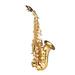 moobody Bb Soprano Saxophone Gold Lacquer Brass Sax with Instrument Case Mouthpiece Neck Strap Cleaning Cloth Brush for Musicians Beginners