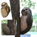 Mortilo Sculptures & Statues 1 PC Tree Sculpture Adorable Tree Peeker Yard Decoration Garden Peeker Tree Hugger Outdoor Statues Sloth Hug Decorations Garden Cat Sloth Sculptures Beige