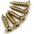 Bright Polished Brass Wood Screws For Hinges 9 X 1 Inch - 24 Pack