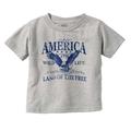 USA Land of the Free Patriotic Eagle Toddler Boy Girl T Shirt Infant Toddler Brisco Brands 24M