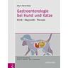 Gastroenterologie bei Hund und Katze - Jörg M. Herausgegeben:Steiner, Romy M. Übersetzung:Heilmann, Jan S. Suchodolski