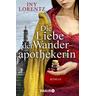 Die Liebe der Wanderapothekerin / Wanderapothekerin Bd.2 - Iny Lorentz