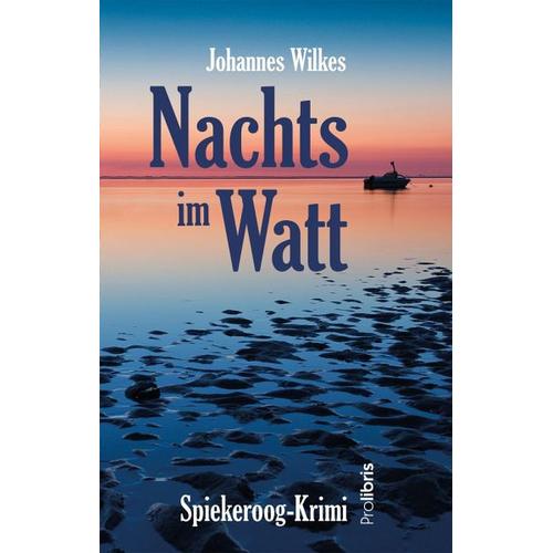 Nachts im Watt – Johannes Wilkes