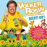 Best of Volker Rosin - Volker Rosin