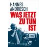 Was jetzt zu tun ist - Hannes Androsch