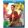 Shazam! Fury of the Gods (Blu-ray Disc) - Warner Home Video