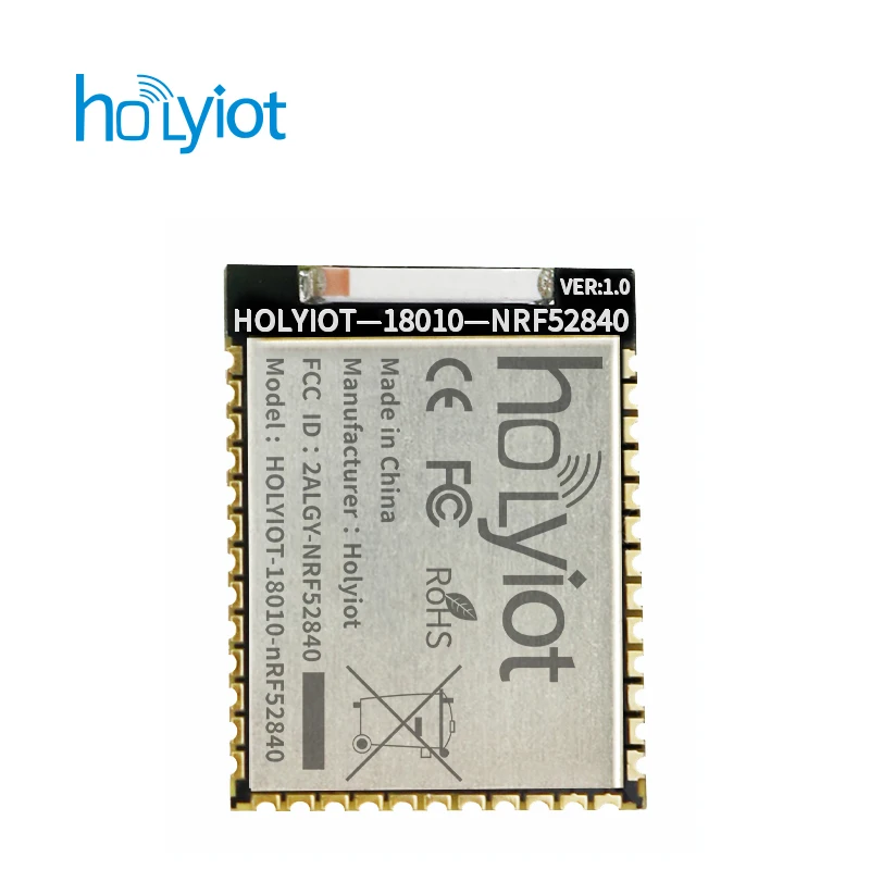 FCC CE-zertifiziertes Holyiot 18010 Nordic NRF52840 Bluetooth 5.0-Modul Low Energy-Module Unterhaltungselektronik für BLE Mesh Image