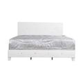 Passion Furniture Nicole White Queen Panel Beds