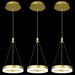 ZHLWIN 3-Pack Modern Gold Chandelier Dimmable LED Pendant Light Kitchen Island Adjustable Height Hanging Light Fixture for Dining Room Living Room Restaurant Foyer Hallway Entryway 6000K