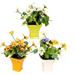 1 Set 3Pcs Mini Artificial Bonsai Living Room Adornments (Assorted Color)