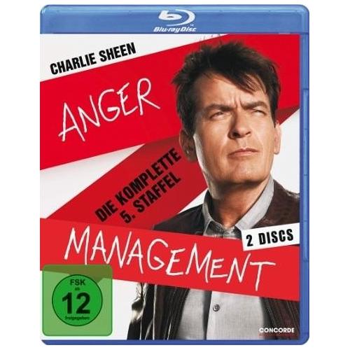 Anger Management: Staffel 5 (Blu-ray Disc) – Concorde