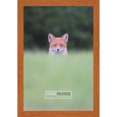 19x27 Traditional Honey Pecan Complete Wood Picture Frame with UV Acrylic, Foam Board Backing, & Hardware