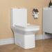 DeerValley Ace Dual-Flush Square Seat One-Piece Floor Mounted Toilet w/ Glazed Surface(Seat Included) in White | Wayfair DV-1F0071