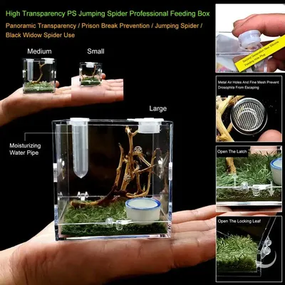 Boîte d'élevage transparente pour reptiles terrarium respirant avec trou de ventilation en métal